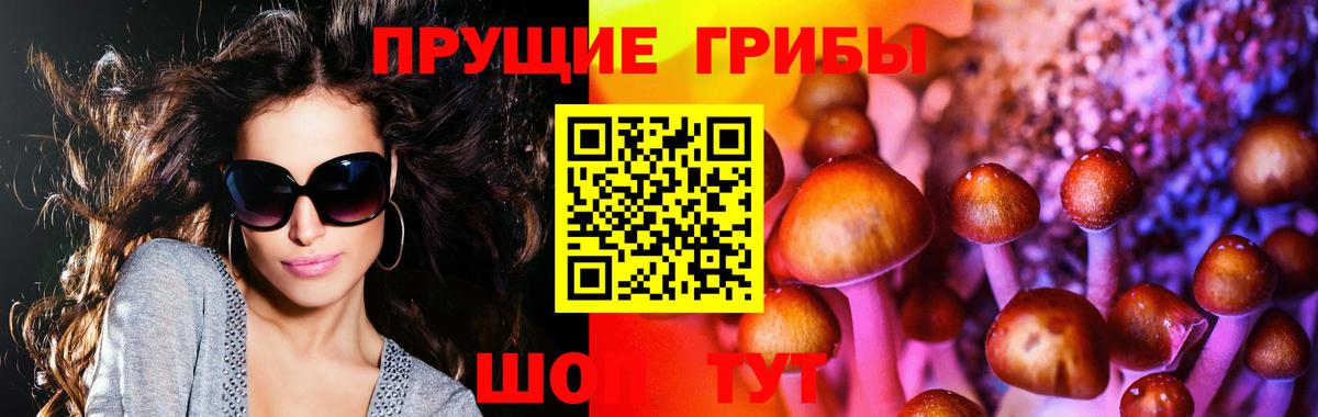 Псилоцибиновые грибы GOLDEN TEACHER Москва